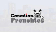 Canadian Frenchies Logo